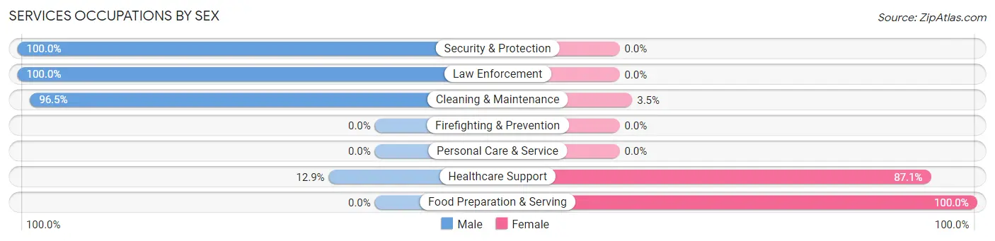 Services Occupations by Sex in Zip Code 28438