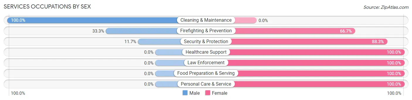 Services Occupations by Sex in Zip Code 28441