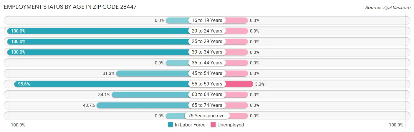Employment Status by Age in Zip Code 28447