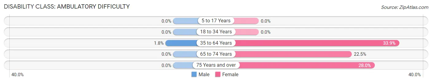 Disability in Zip Code 28448: <span>Ambulatory Difficulty</span>