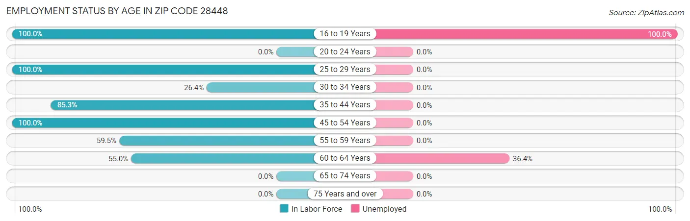 Employment Status by Age in Zip Code 28448
