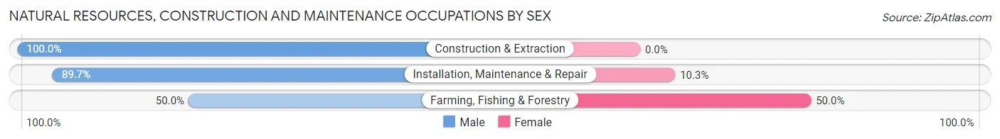 Natural Resources, Construction and Maintenance Occupations by Sex in Zip Code 28450