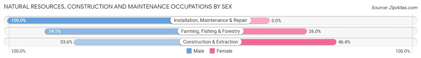 Natural Resources, Construction and Maintenance Occupations by Sex in Zip Code 28453