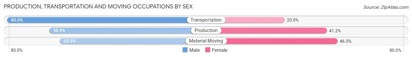 Production, Transportation and Moving Occupations by Sex in Zip Code 28453