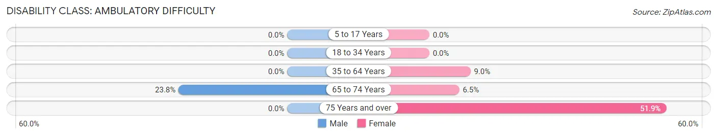 Disability in Zip Code 28455: <span>Ambulatory Difficulty</span>