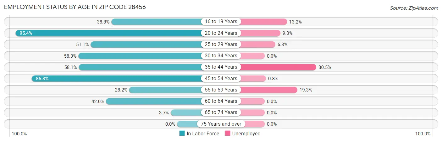 Employment Status by Age in Zip Code 28456