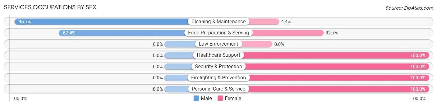 Services Occupations by Sex in Zip Code 28456