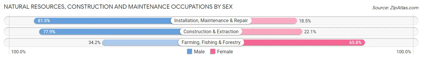 Natural Resources, Construction and Maintenance Occupations by Sex in Zip Code 28457