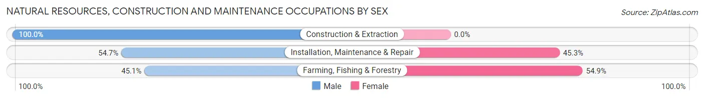 Natural Resources, Construction and Maintenance Occupations by Sex in Zip Code 28462