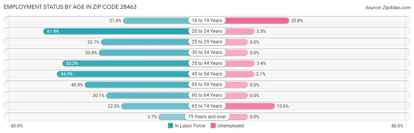 Employment Status by Age in Zip Code 28463