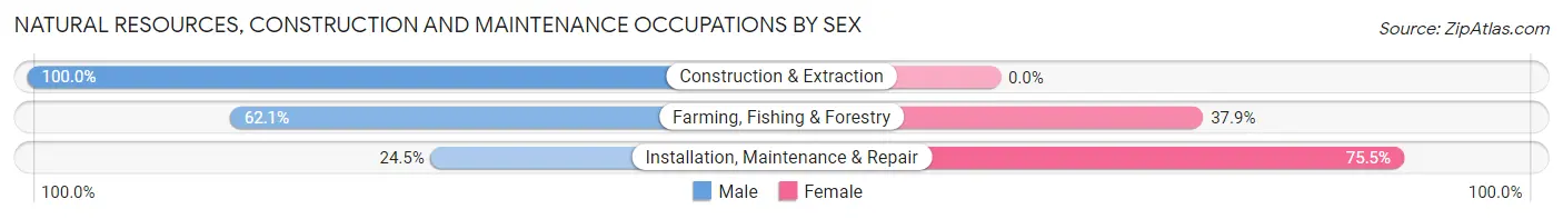 Natural Resources, Construction and Maintenance Occupations by Sex in Zip Code 28463