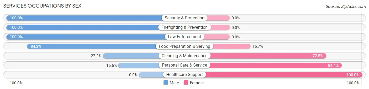 Services Occupations by Sex in Zip Code 28463