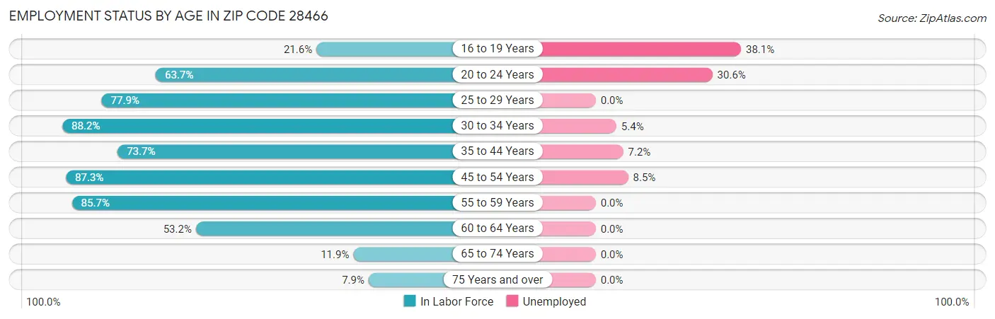 Employment Status by Age in Zip Code 28466