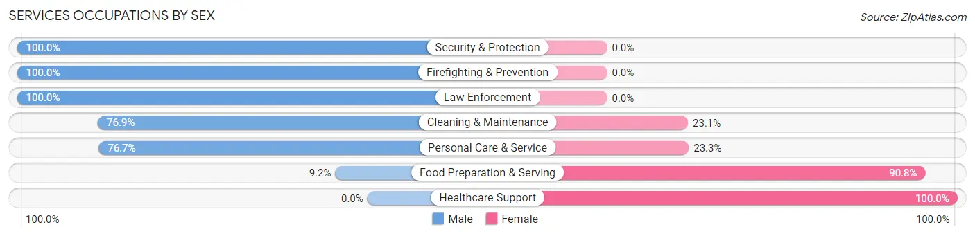Services Occupations by Sex in Zip Code 28469