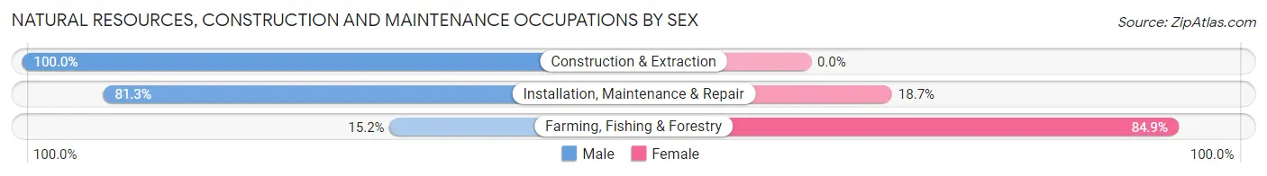 Natural Resources, Construction and Maintenance Occupations by Sex in Zip Code 28472