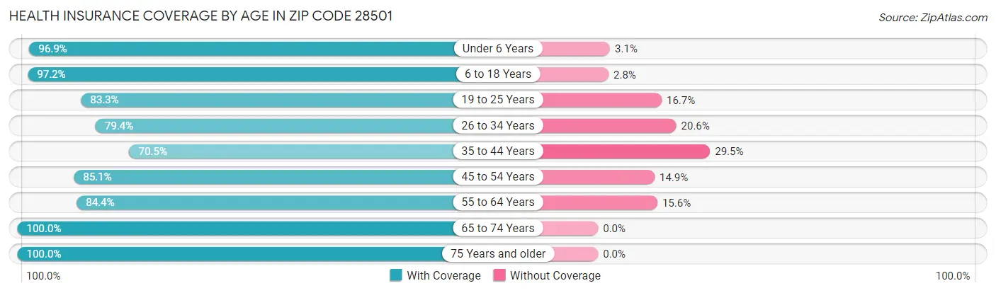 Health Insurance Coverage by Age in Zip Code 28501