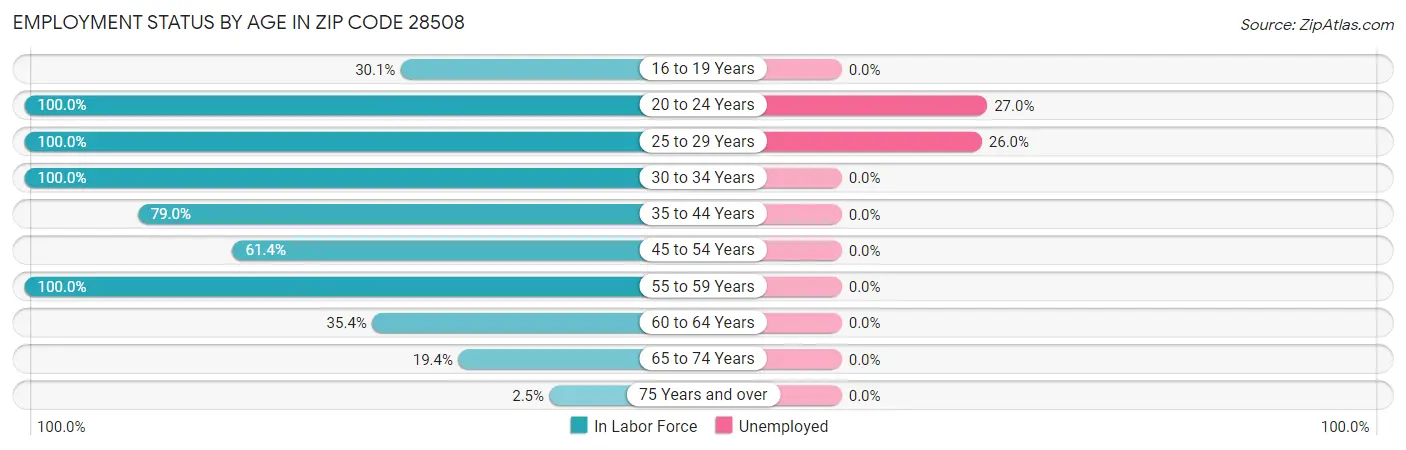 Employment Status by Age in Zip Code 28508