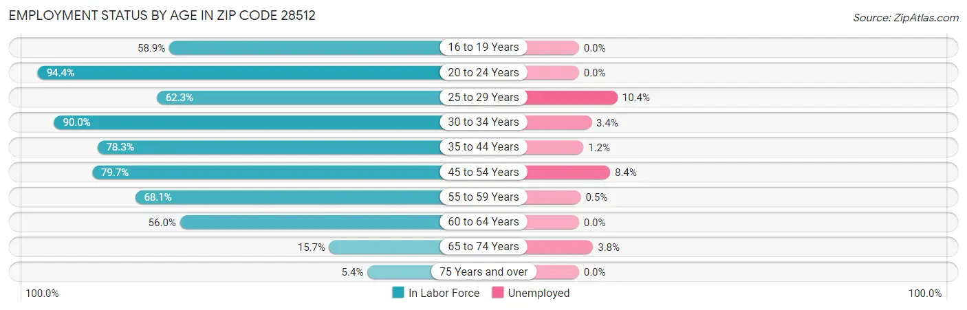 Employment Status by Age in Zip Code 28512