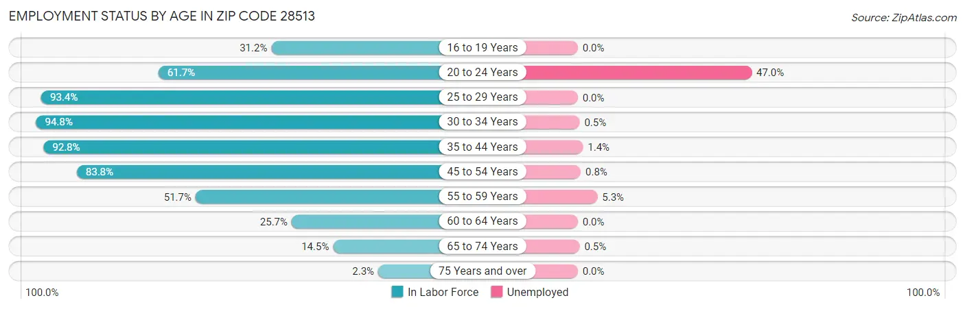 Employment Status by Age in Zip Code 28513