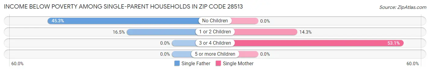 Income Below Poverty Among Single-Parent Households in Zip Code 28513