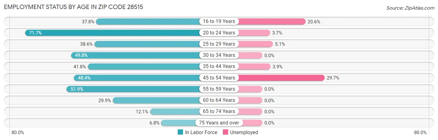 Employment Status by Age in Zip Code 28515