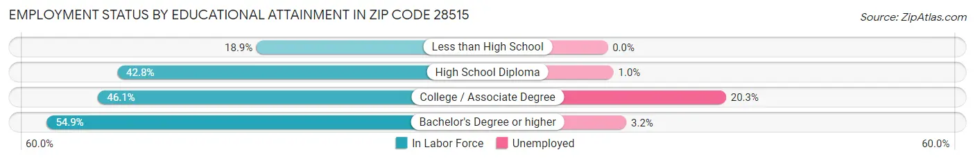 Employment Status by Educational Attainment in Zip Code 28515