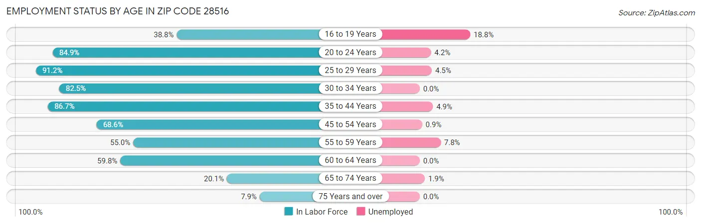 Employment Status by Age in Zip Code 28516