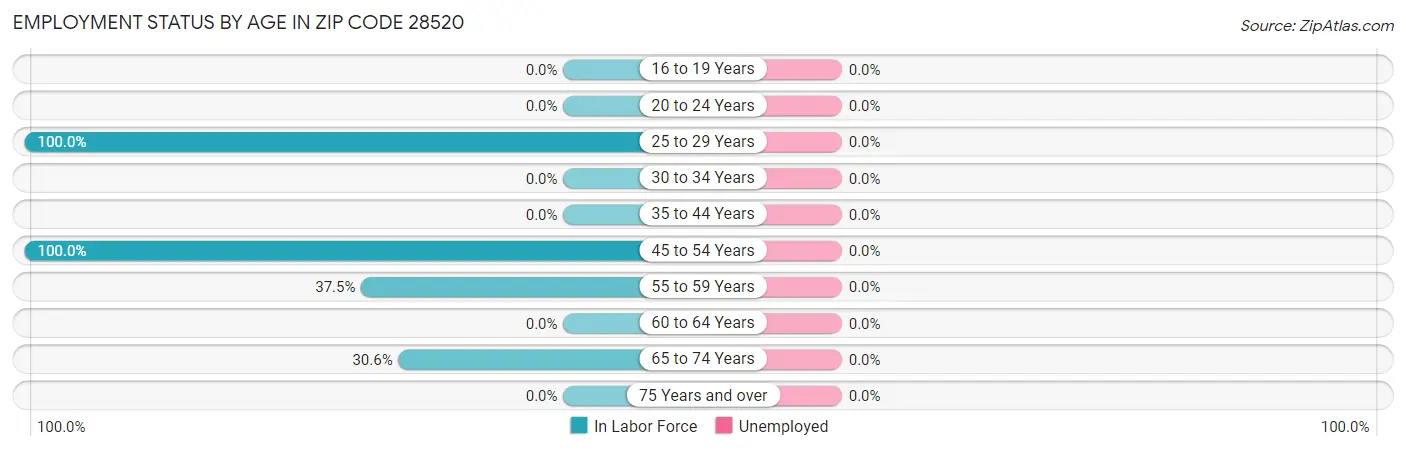 Employment Status by Age in Zip Code 28520