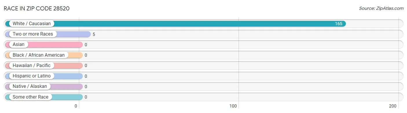 Race in Zip Code 28520