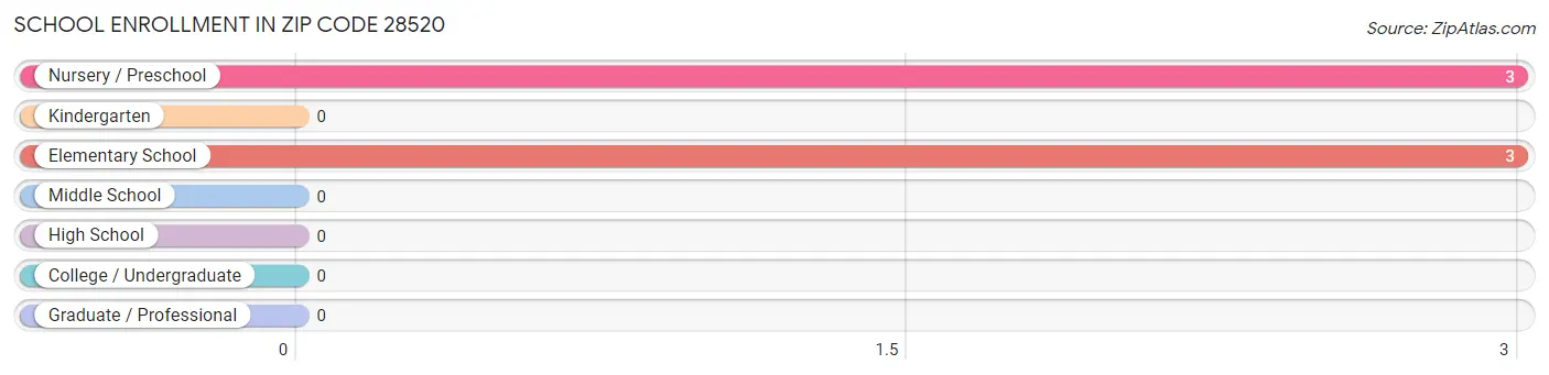 School Enrollment in Zip Code 28520