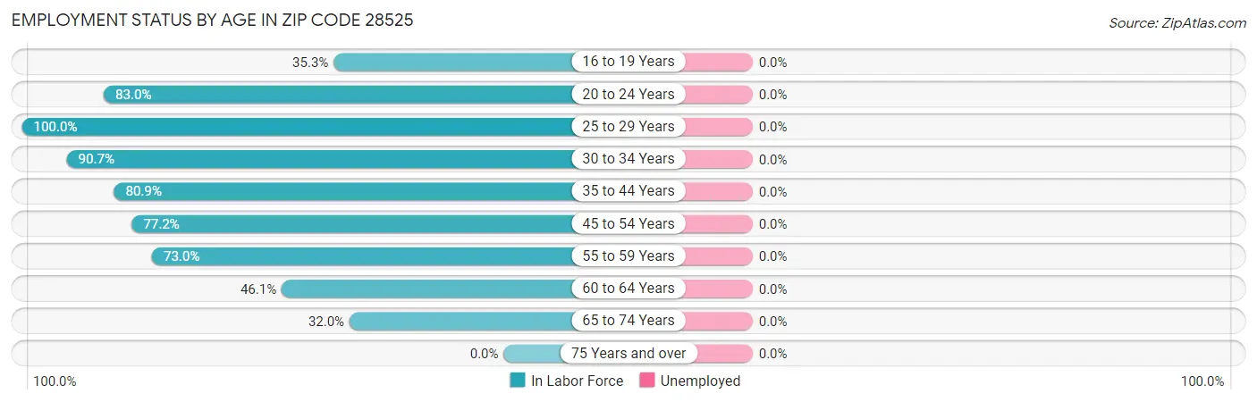 Employment Status by Age in Zip Code 28525