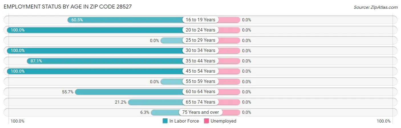 Employment Status by Age in Zip Code 28527