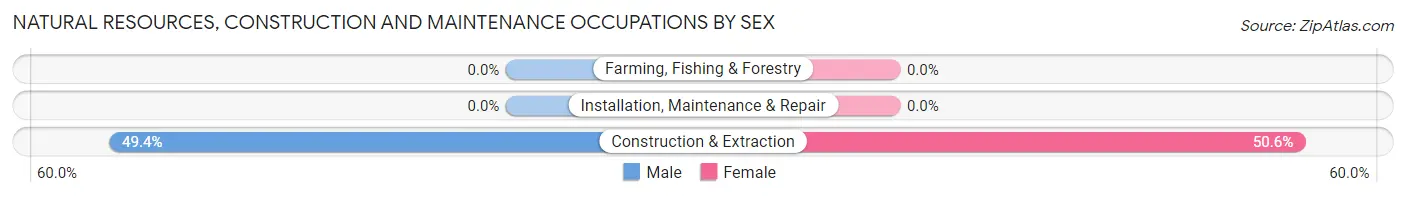 Natural Resources, Construction and Maintenance Occupations by Sex in Zip Code 28527