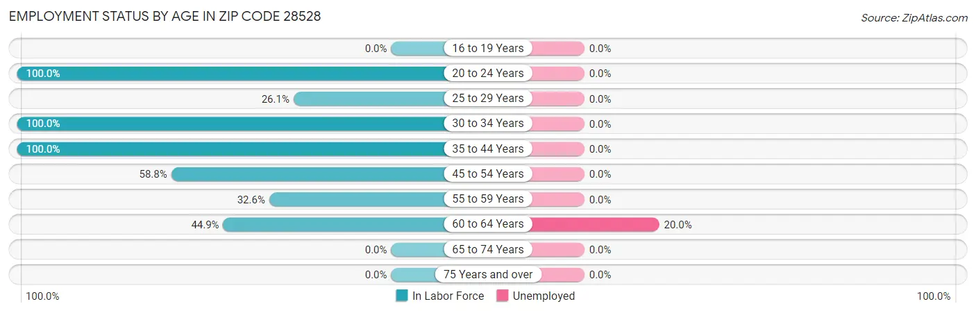 Employment Status by Age in Zip Code 28528