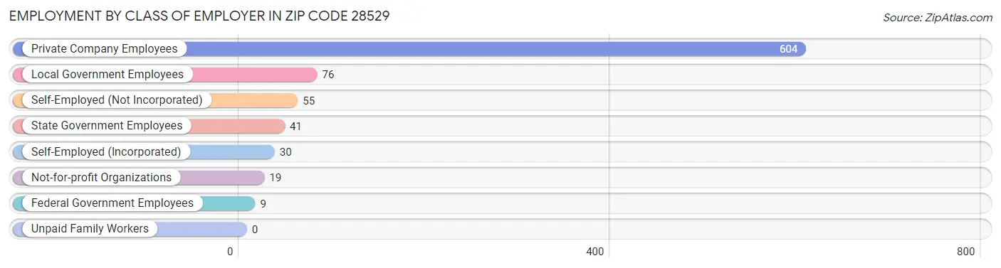 Employment by Class of Employer in Zip Code 28529