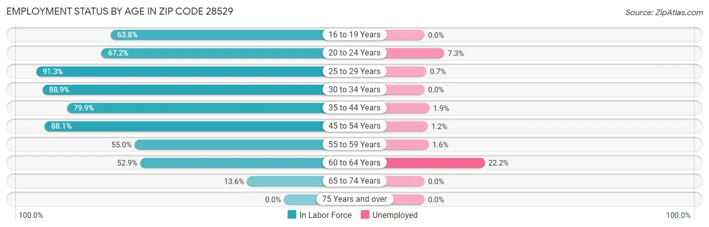 Employment Status by Age in Zip Code 28529