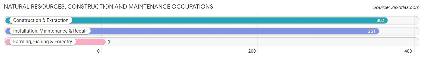 Natural Resources, Construction and Maintenance Occupations in Zip Code 28532