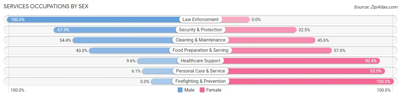 Services Occupations by Sex in Zip Code 28532