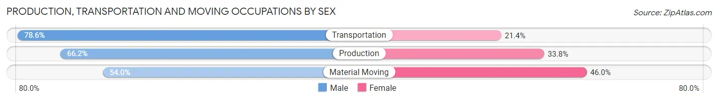 Production, Transportation and Moving Occupations by Sex in Zip Code 28538
