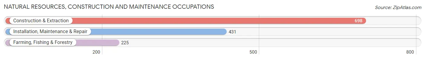 Natural Resources, Construction and Maintenance Occupations in Zip Code 28562