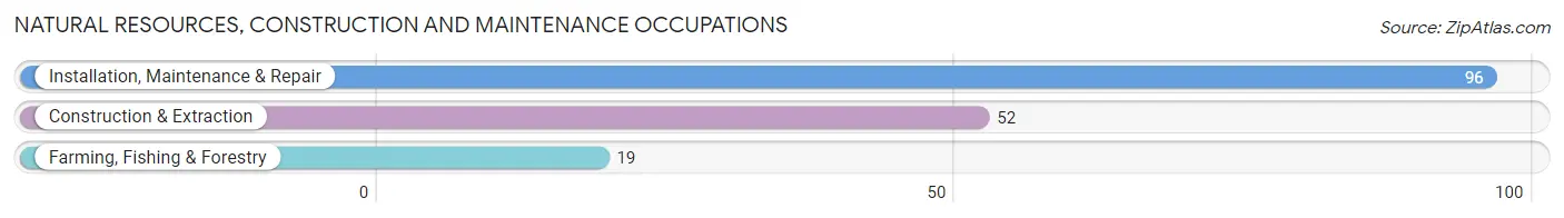 Natural Resources, Construction and Maintenance Occupations in Zip Code 28573