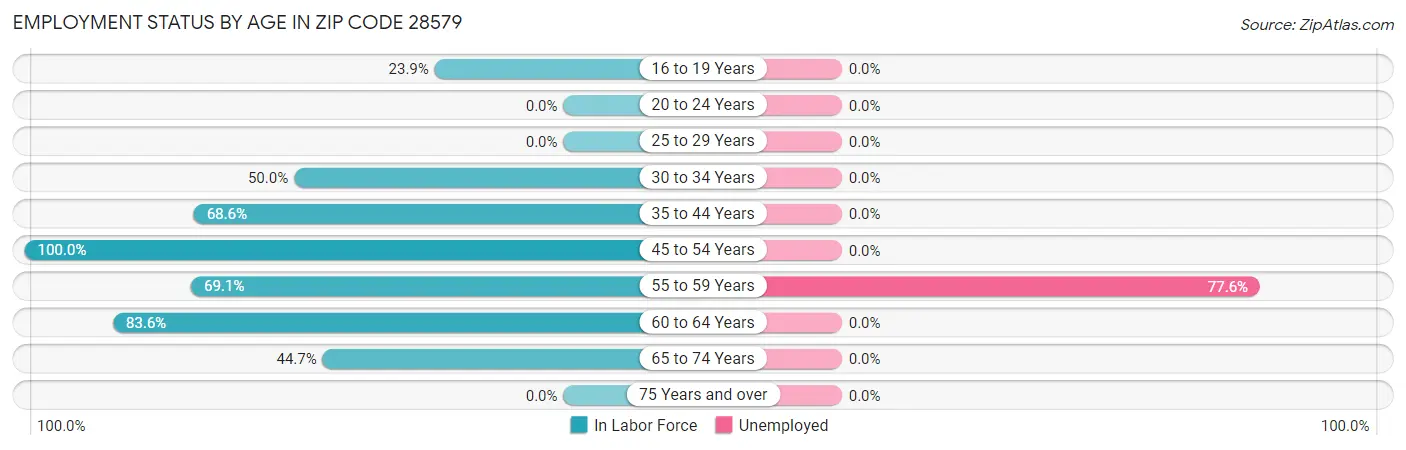 Employment Status by Age in Zip Code 28579
