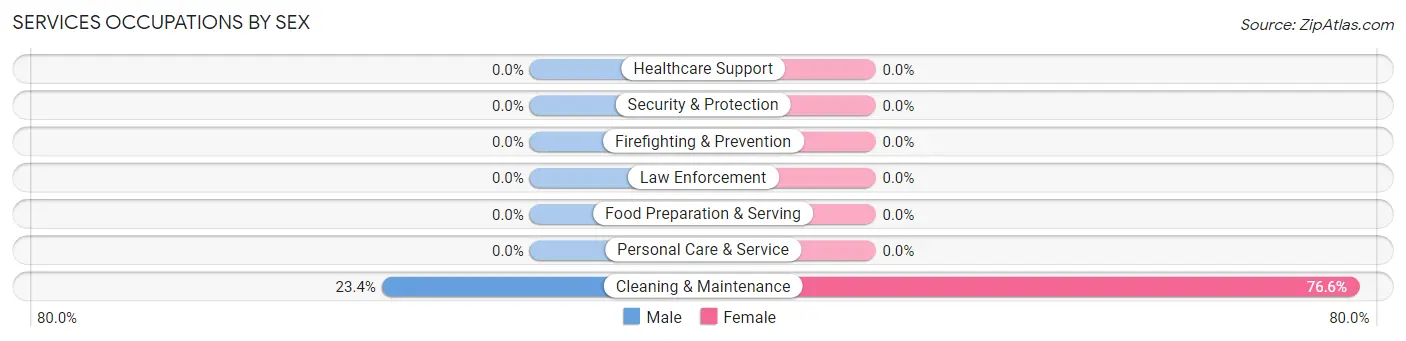 Services Occupations by Sex in Zip Code 28579