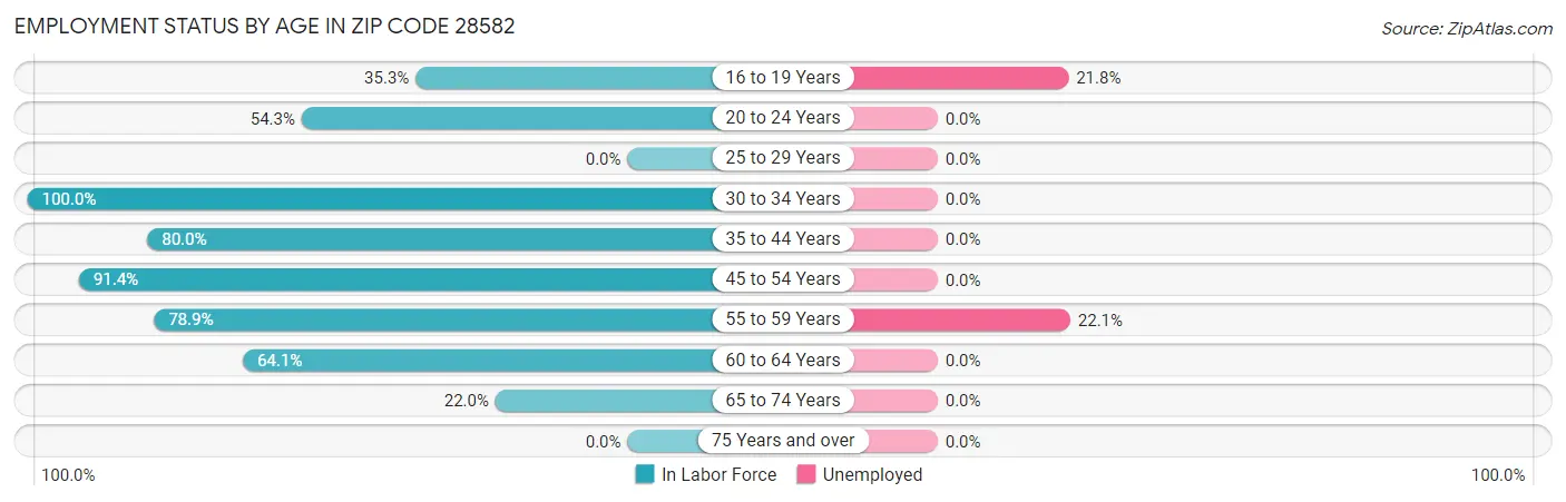 Employment Status by Age in Zip Code 28582