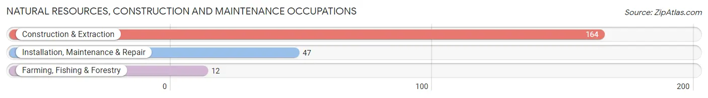 Natural Resources, Construction and Maintenance Occupations in Zip Code 28585