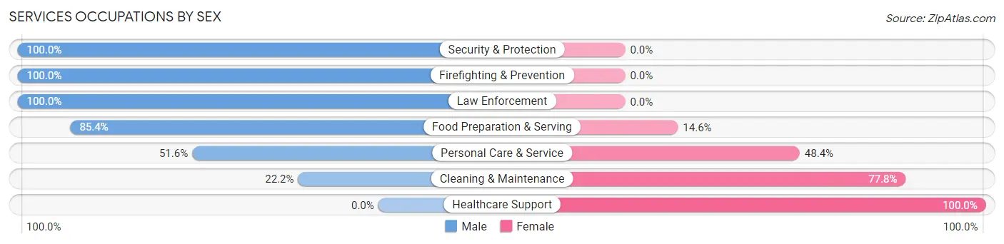 Services Occupations by Sex in Zip Code 28585