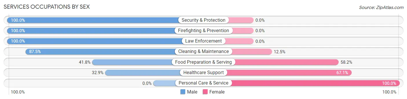 Services Occupations by Sex in Zip Code 28586