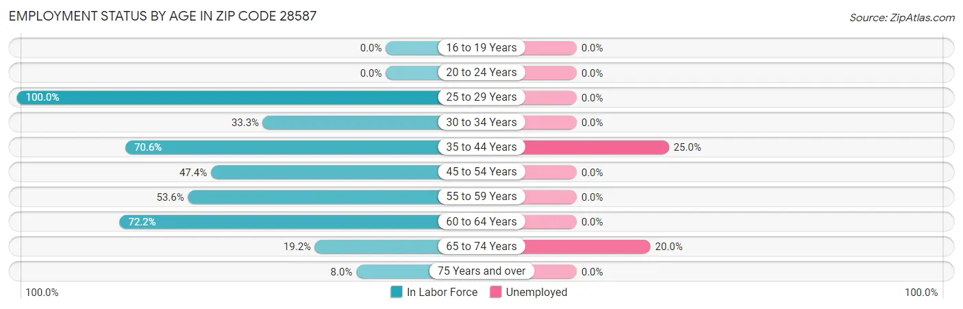 Employment Status by Age in Zip Code 28587