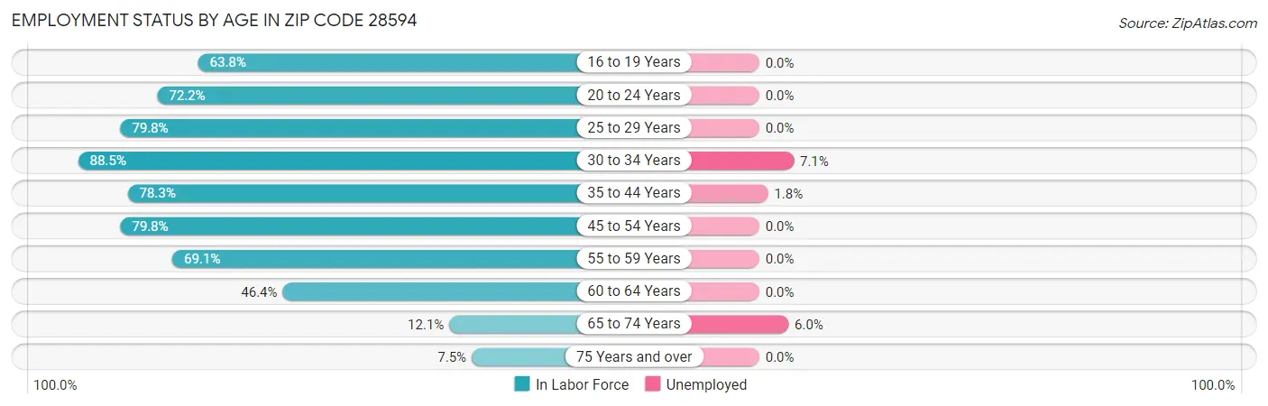Employment Status by Age in Zip Code 28594