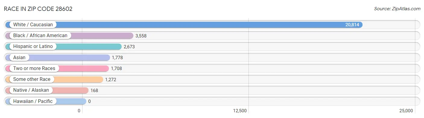 Race in Zip Code 28602